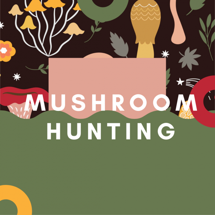 Mushroom Hunting